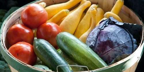 Gemüsekorb mit Tomaten, Zucchini und Rotkohl